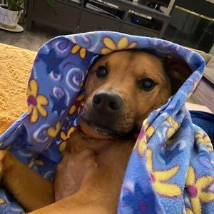 Meet your Posher, Kari